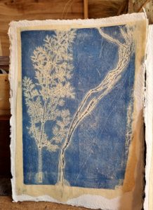stage-gelli-plate-5