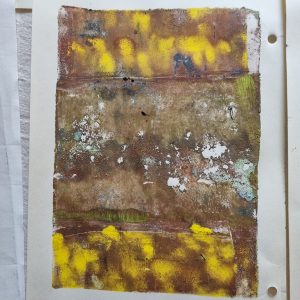 stage-gelli-plate-6